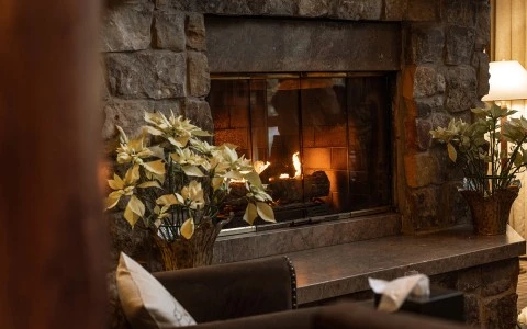 a fireplace with a plant in front of it
