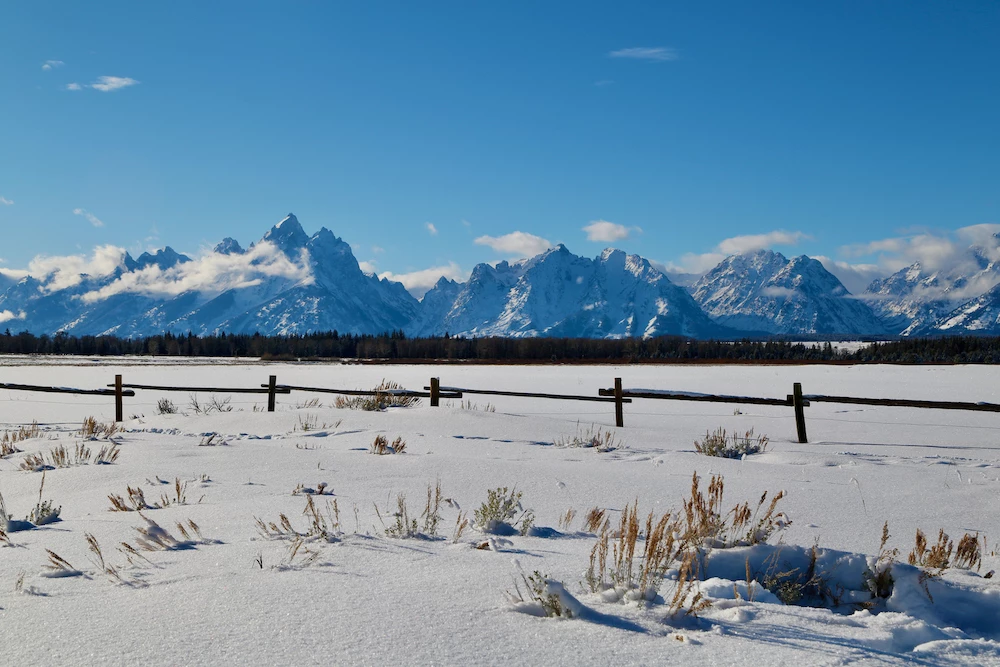 a snowy field with mountains in the background