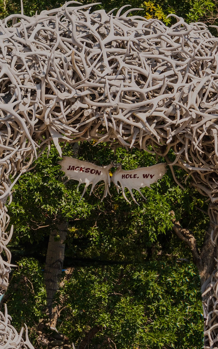 a antlers with a sign above it