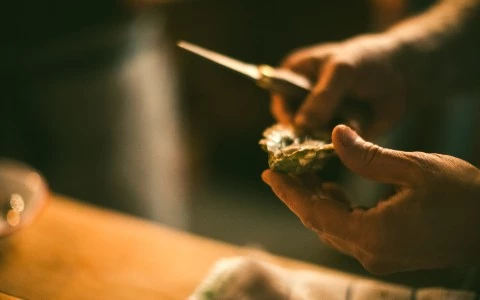 a person holding an oyster 