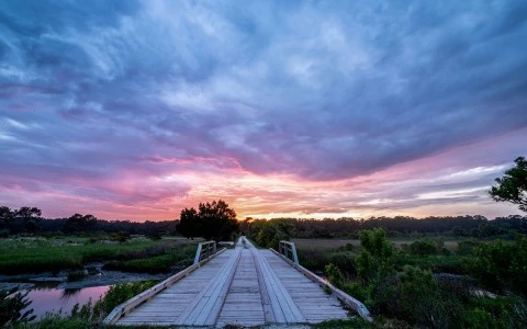 purple and pink sunset