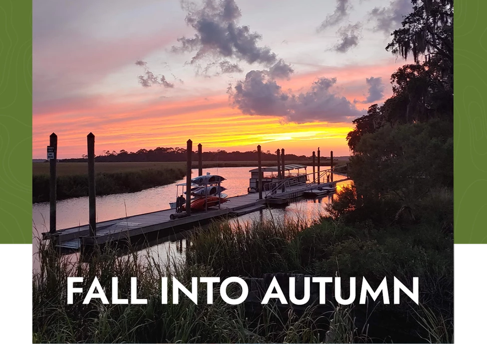 a dock with boats on it and a sunset