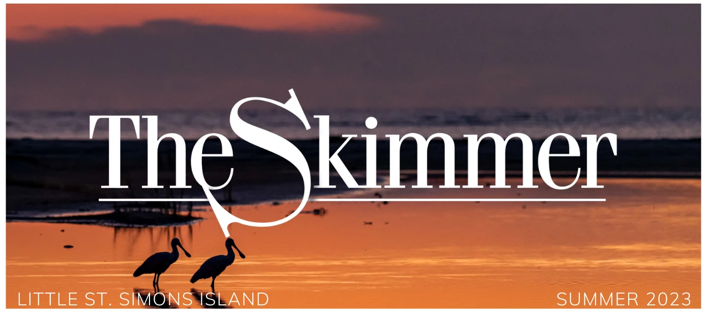 summer 2023 newsletter