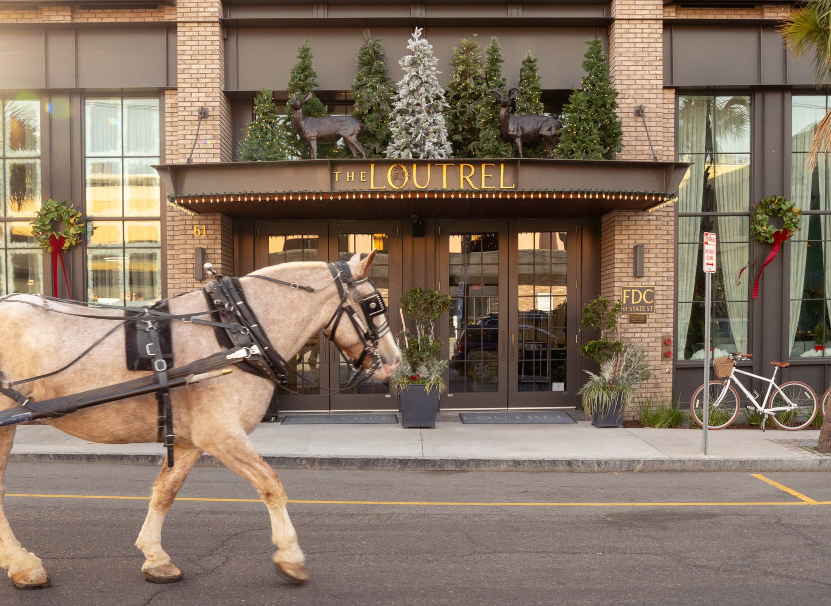 a horse pulling a carriage