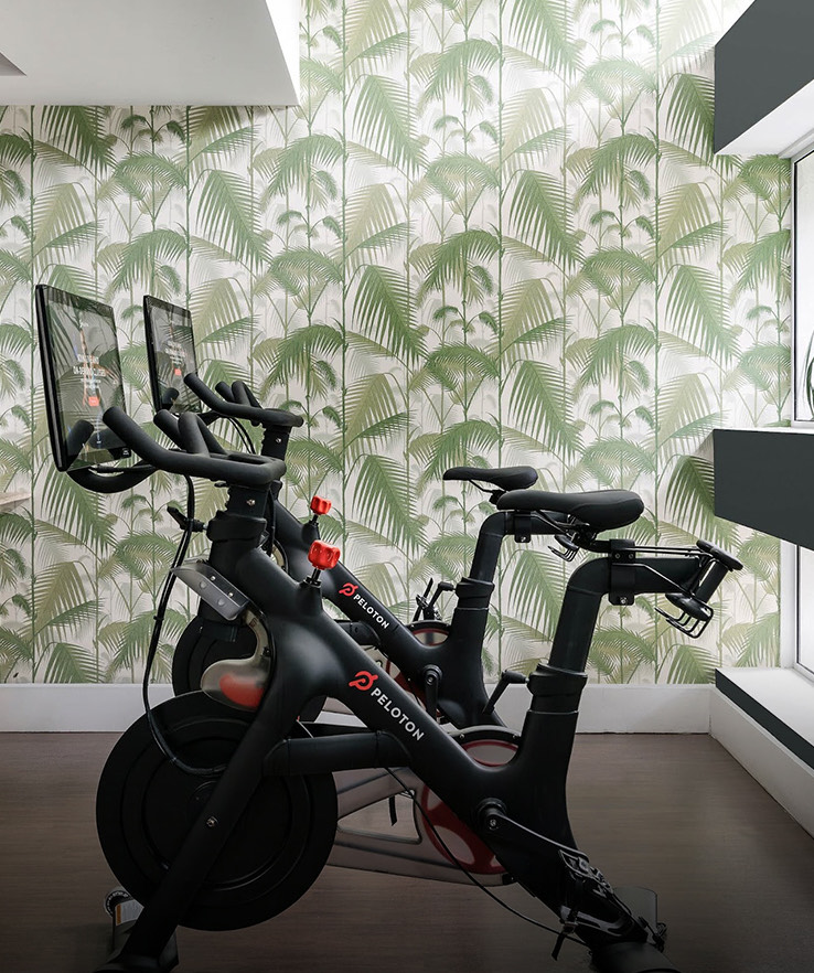 two exercise bikes