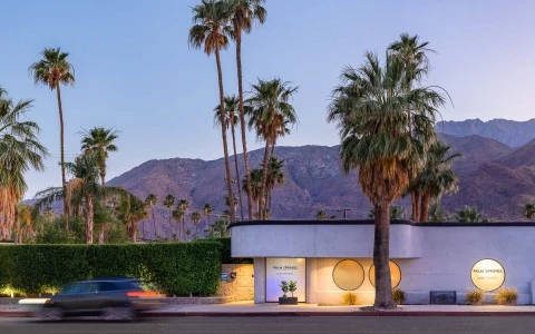 The Palm Springs Hotel — gallery preview 1