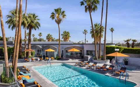 The Palm Springs Hotel — gallery preview 2