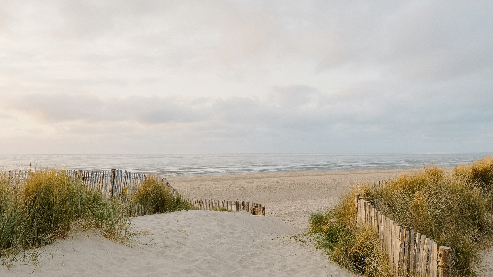 a sand path leading to a beach