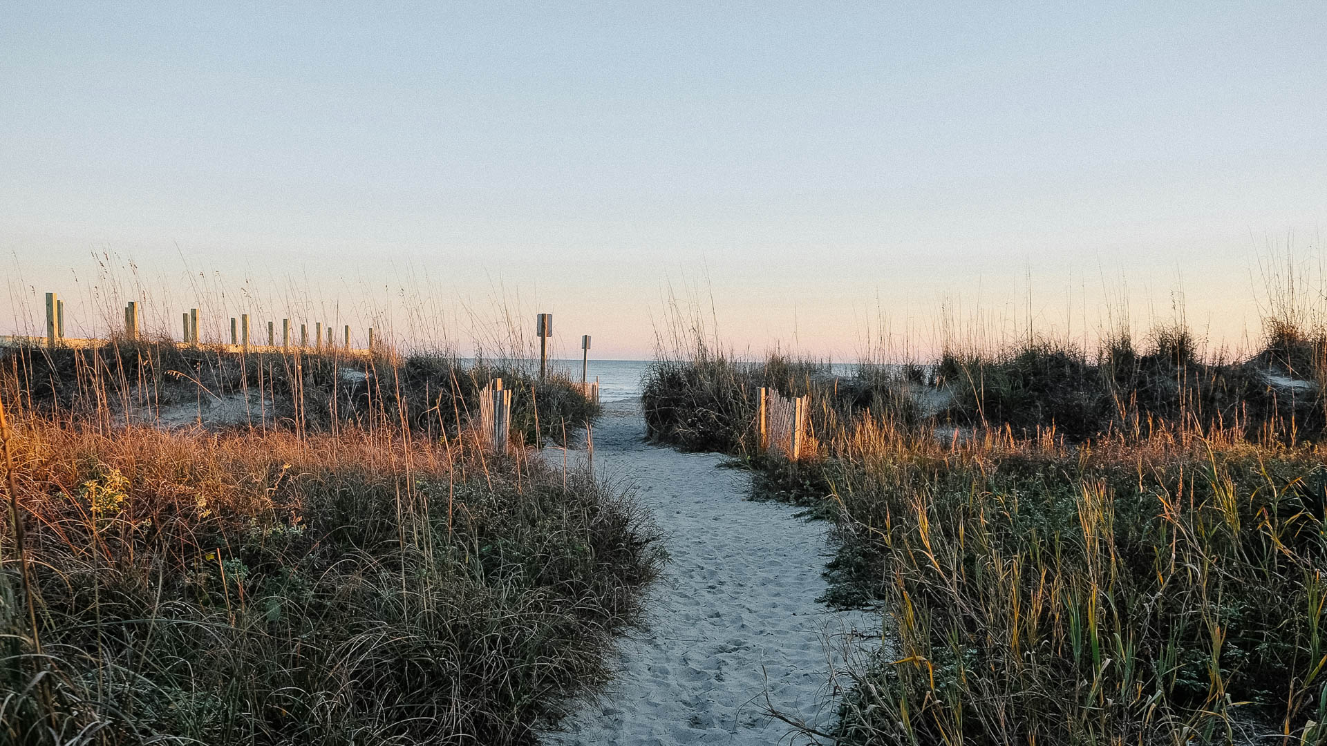 a path through tall grass and a beach