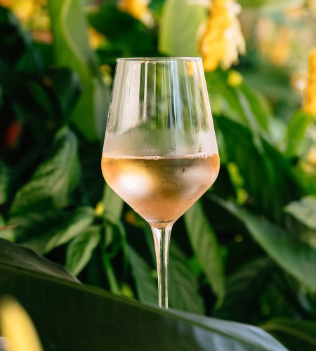 a glass of wine in front of plants