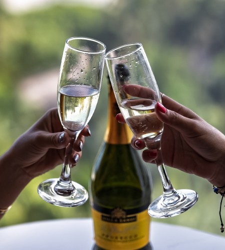 a pair of hands holding wine glasses
