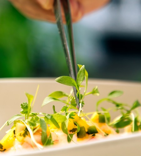 a person holding a pair of tweezers to a plate of food