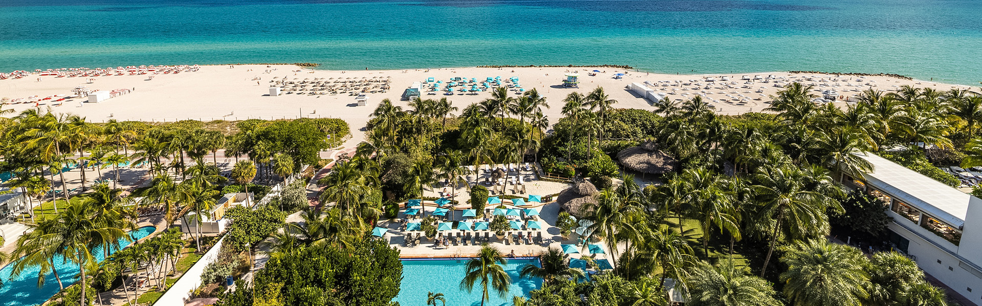 a pool and palm trees on a beach