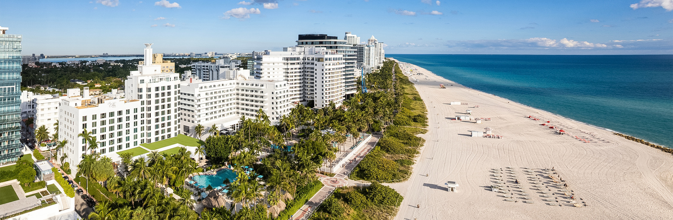 a beach with palm trees and buildings