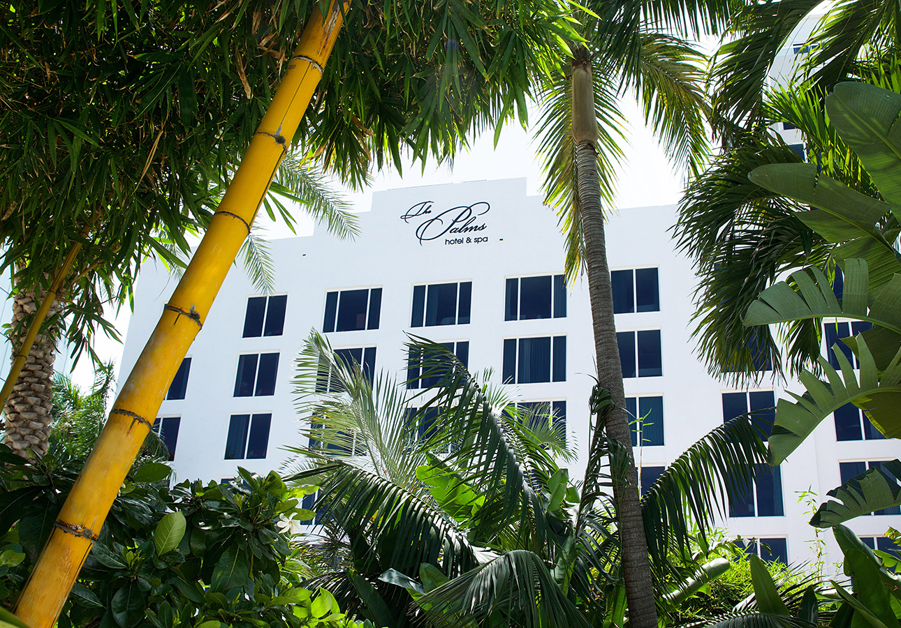 a white building with many windows and palm trees