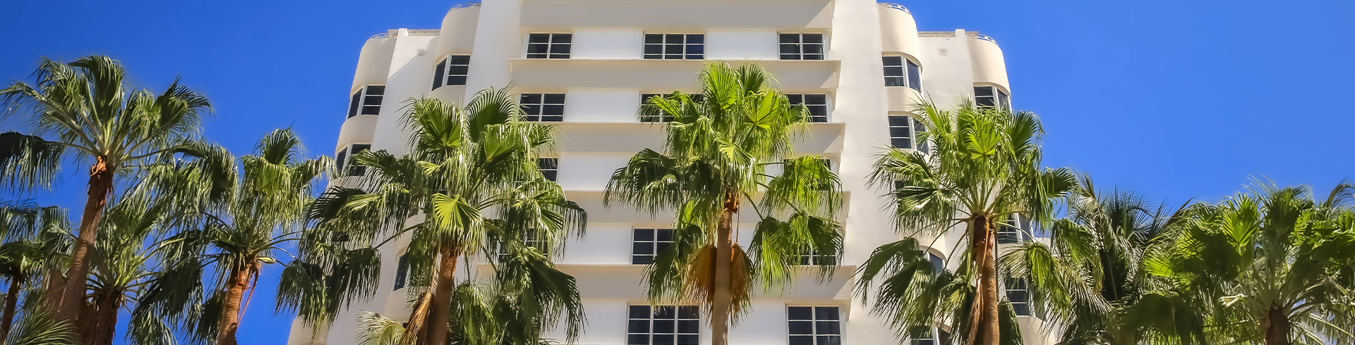 a palm trees in front of a building