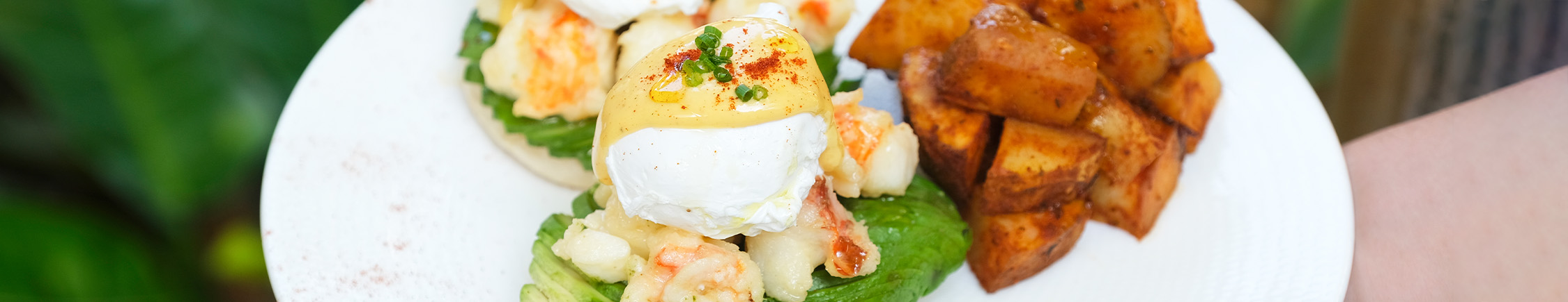 a close up of food