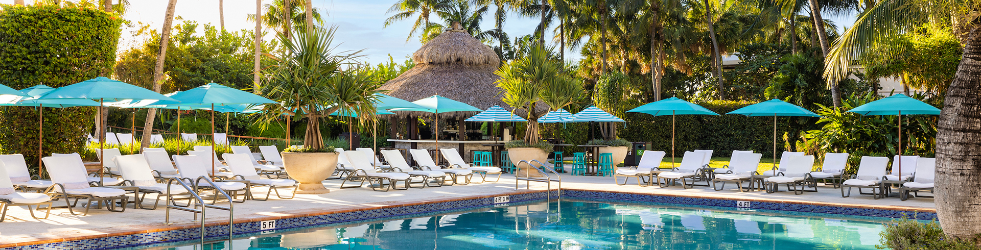 a pool with chairs and umbrellas
