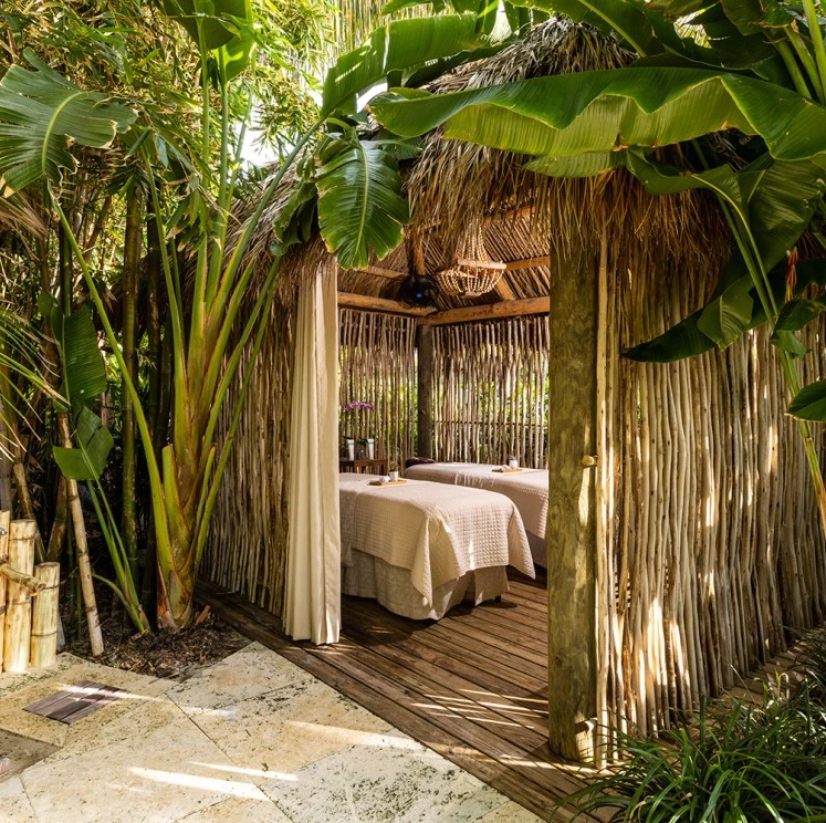 The Palms Hotel & Spa — gallery preview 3