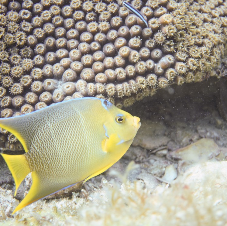 View image from the gallery