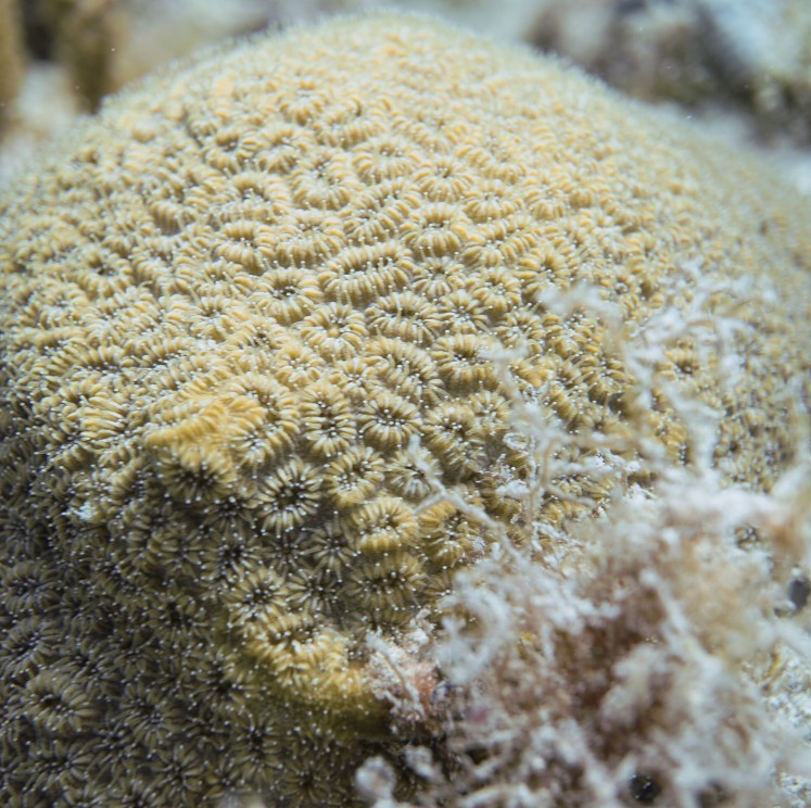 View image from the gallery