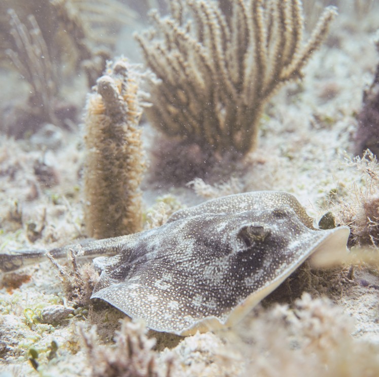 View image from the gallery