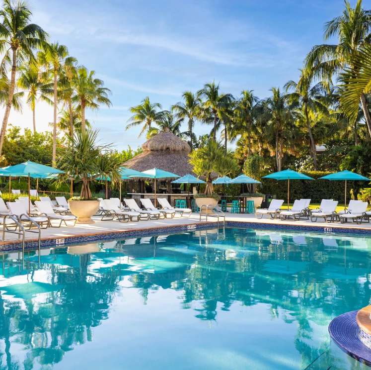 A serene pool scene with lounge chairs, umbrellas, and palm trees surrounding the pool.
