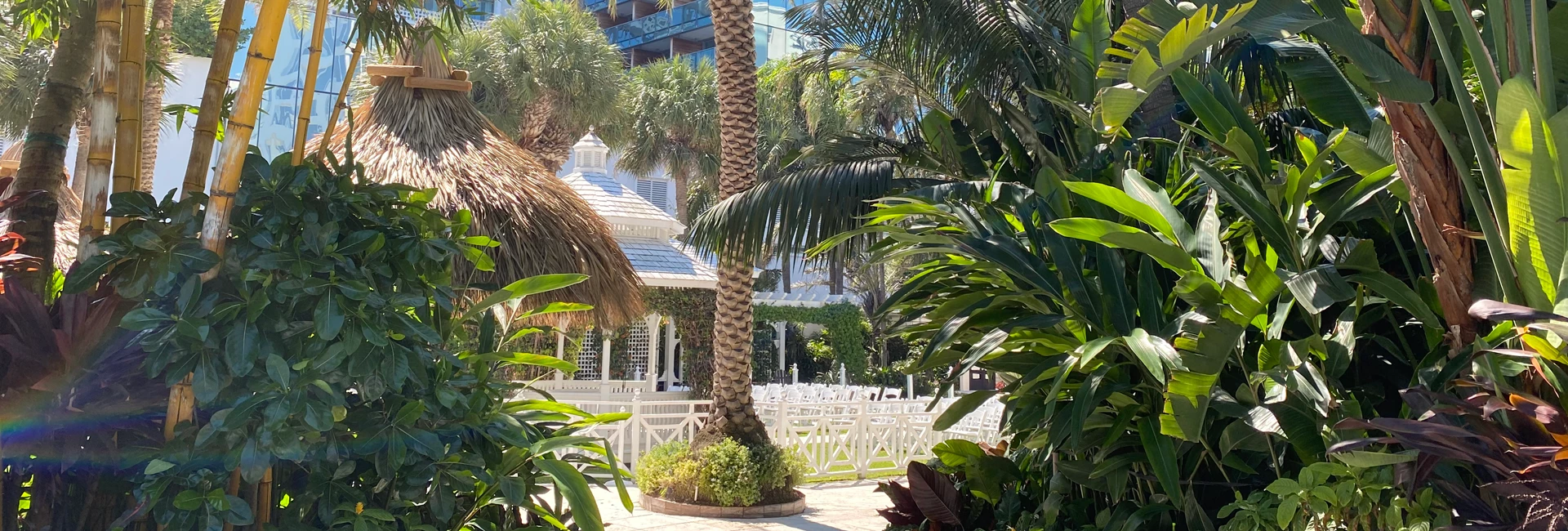 The Palms Hotel & Spa — photo 29 of 60