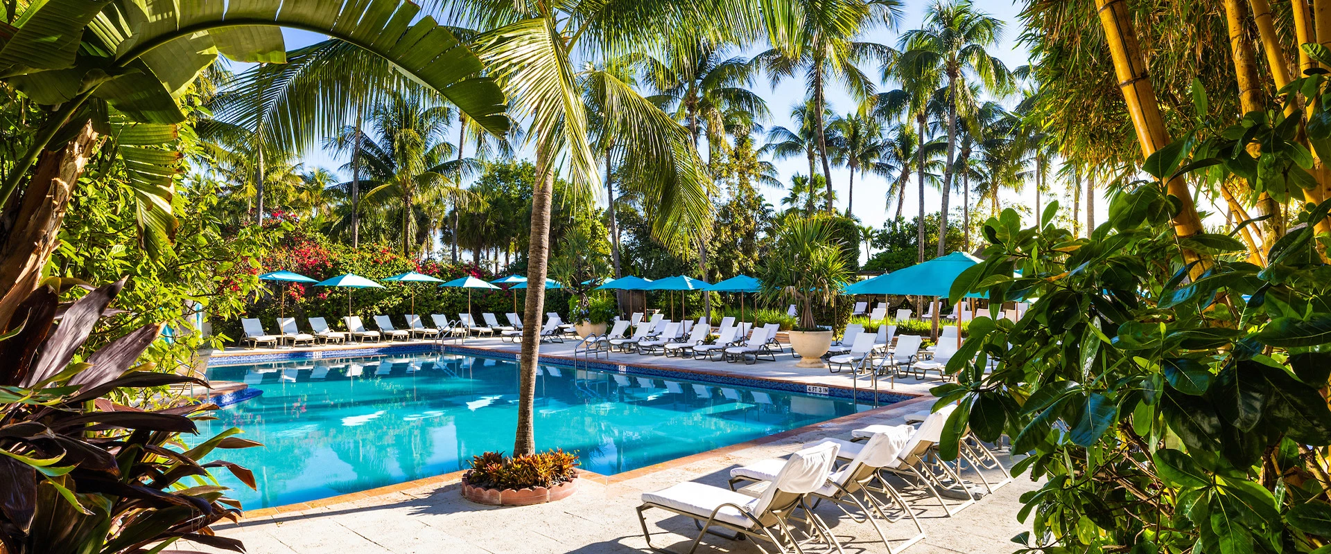 A serene tropical pool scene with lounge chairs and umbrellas.