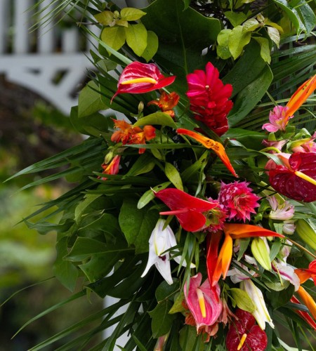 a bunch of flowers on a plant