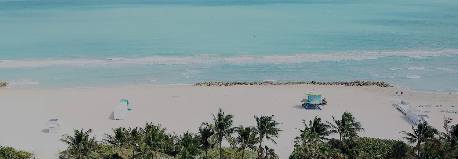 aerial view of beach