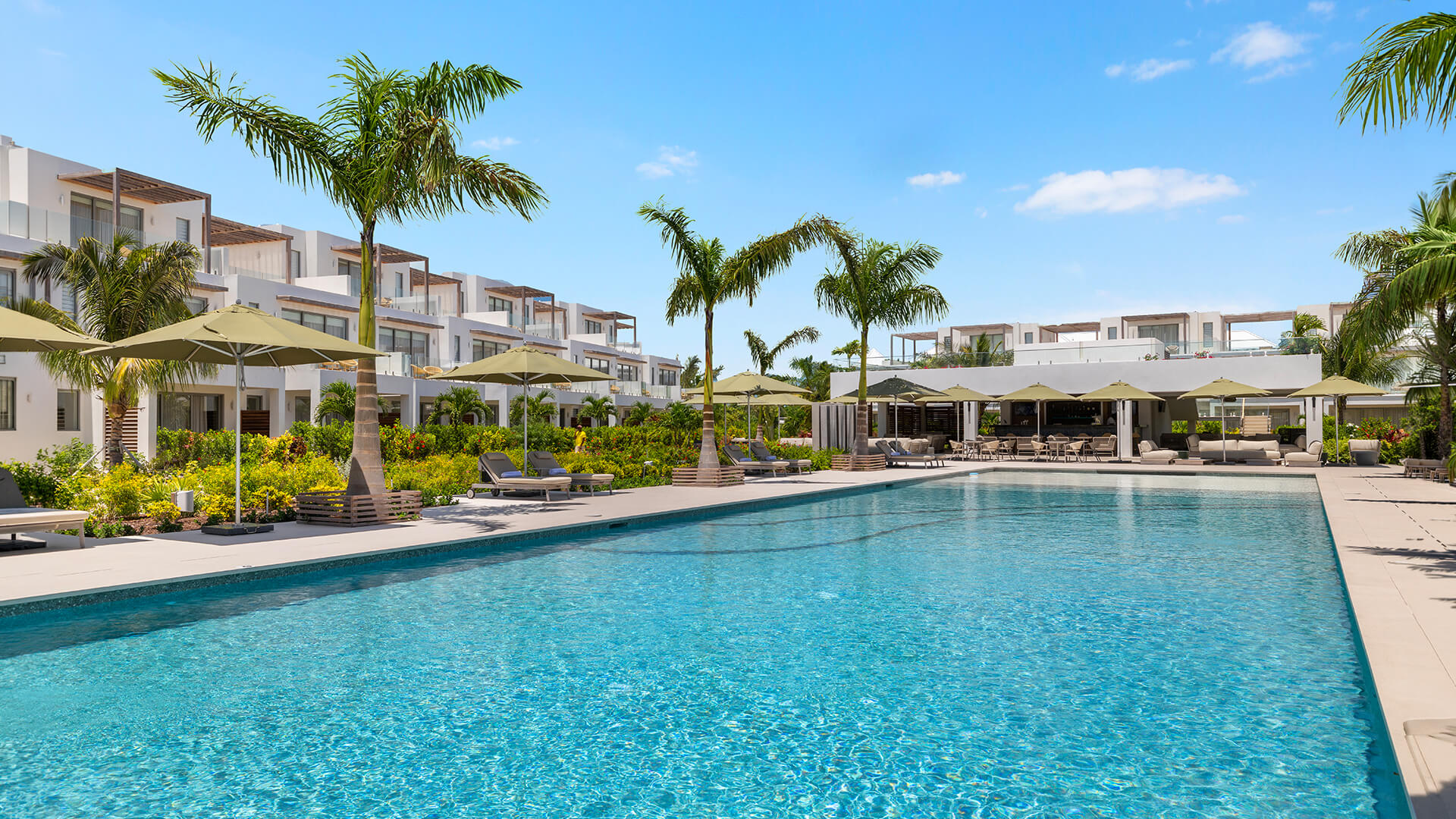 a swimming pool with palm trees and buildings