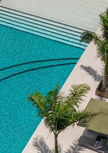 a swimming pool with palm trees