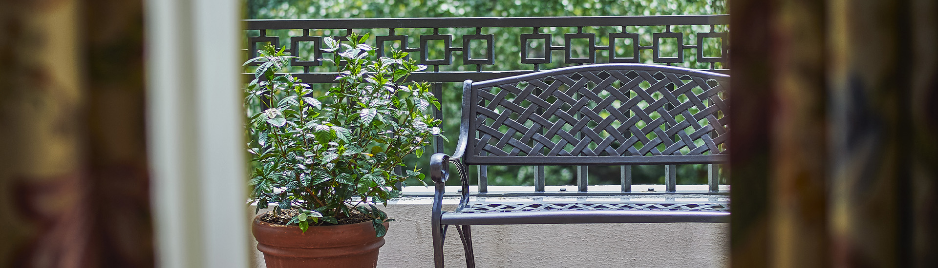 a bench and potted plant