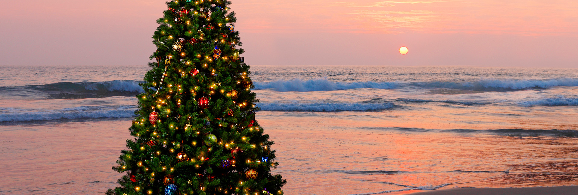 a christmas tree with lights and ornaments on a beach