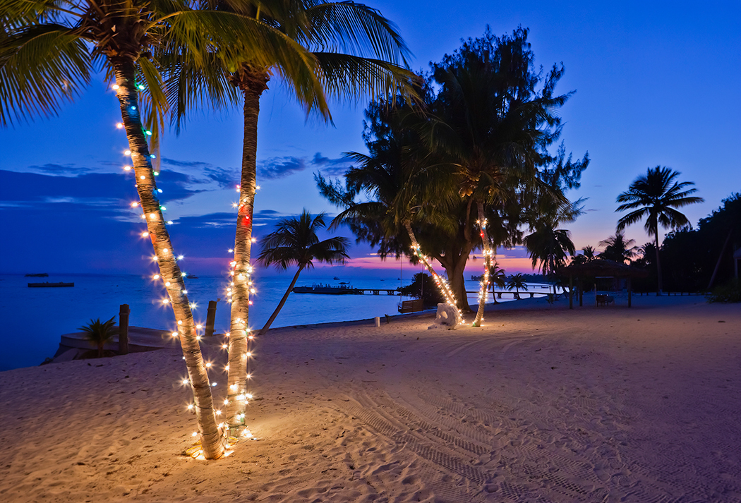 palm trees with lights on the beach
