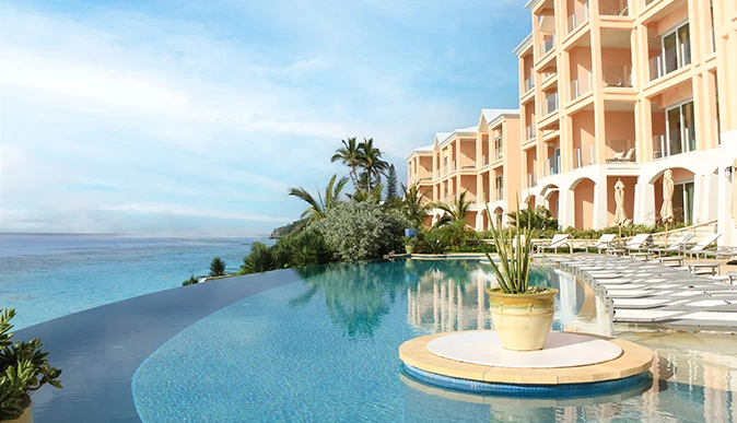 a pool with a potted plant in it