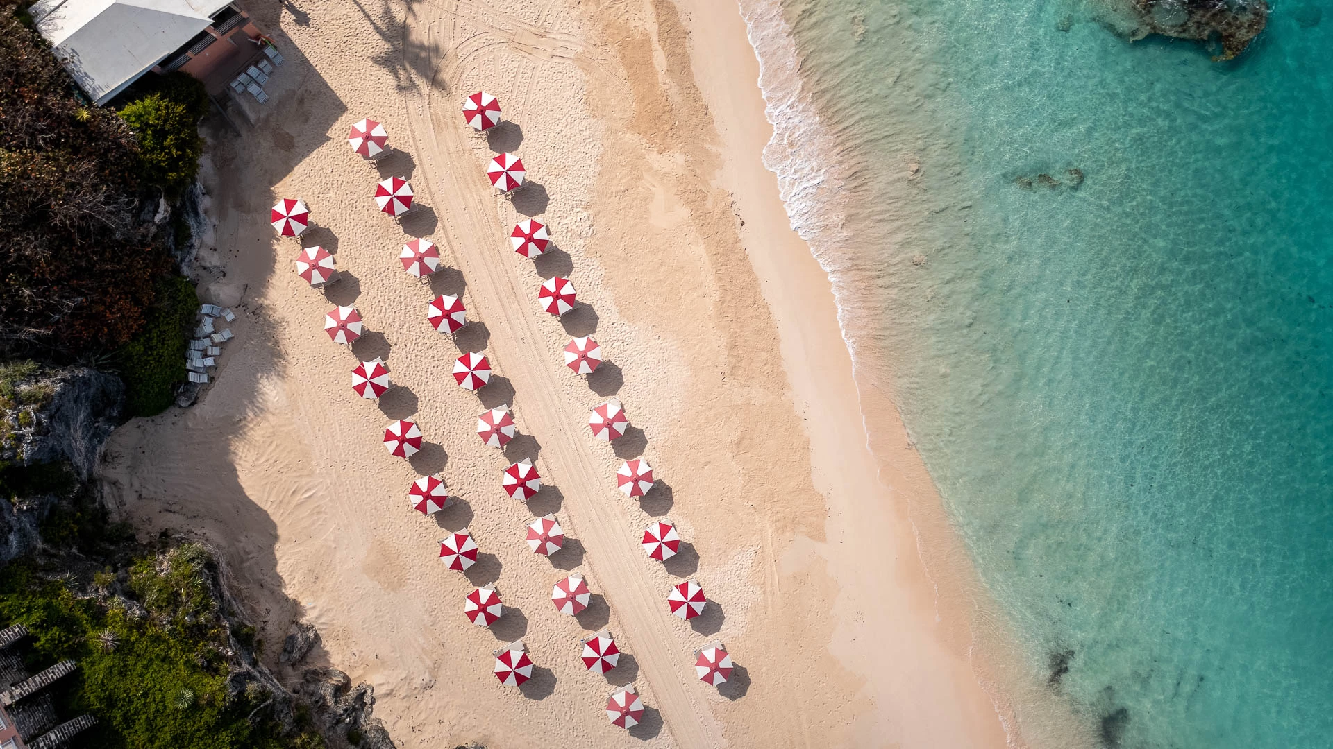 a group of umbrellas on a beach