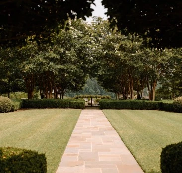 a path between trees with bushes and grass