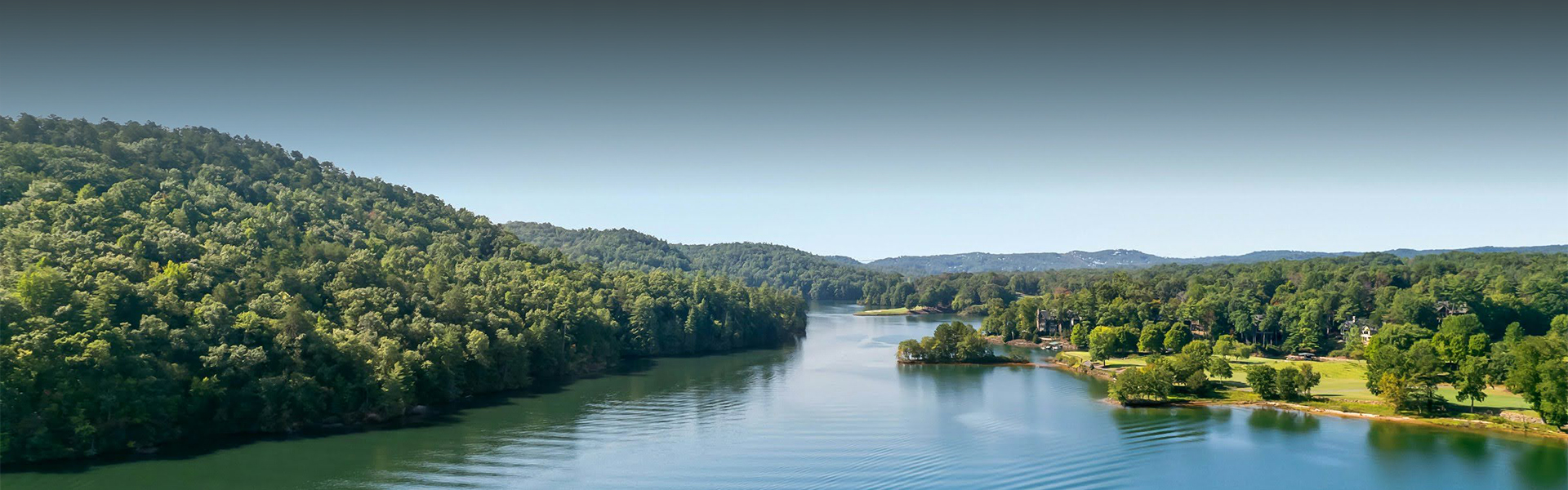 a river with trees around it