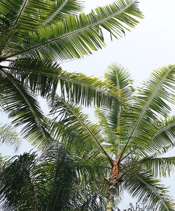 a man holding a woman