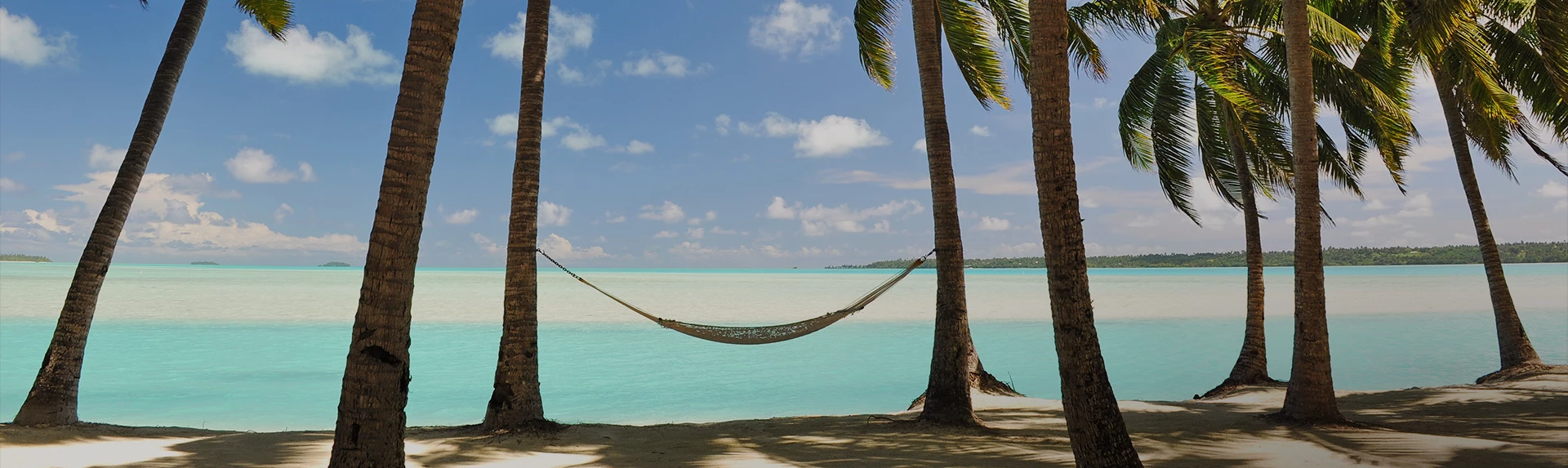 a hammock in front of the ocean