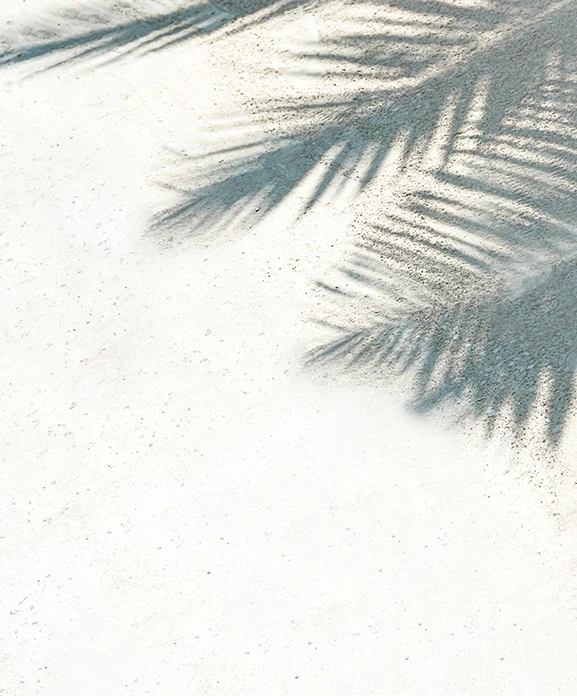 a group of people at a beach wedding