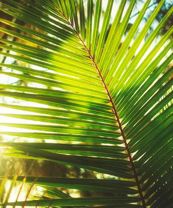 a family running on a beach