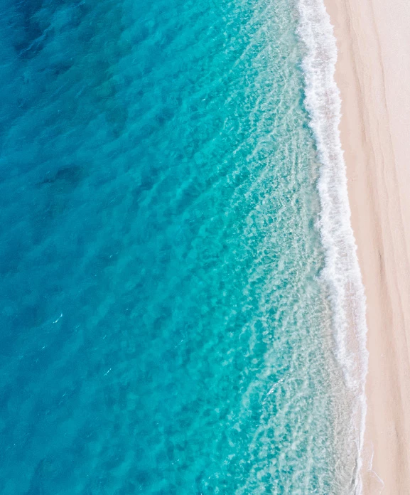 a group of women laughing and drinking