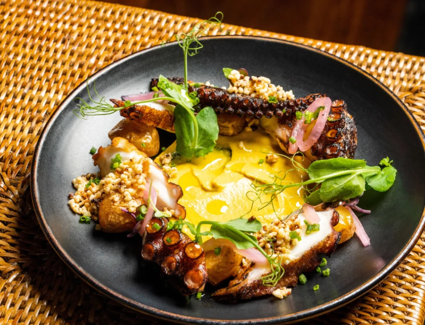 octopus dish