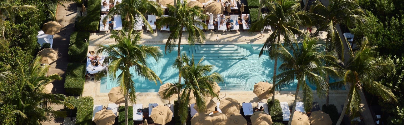 a pool with palm trees and umbrellas
