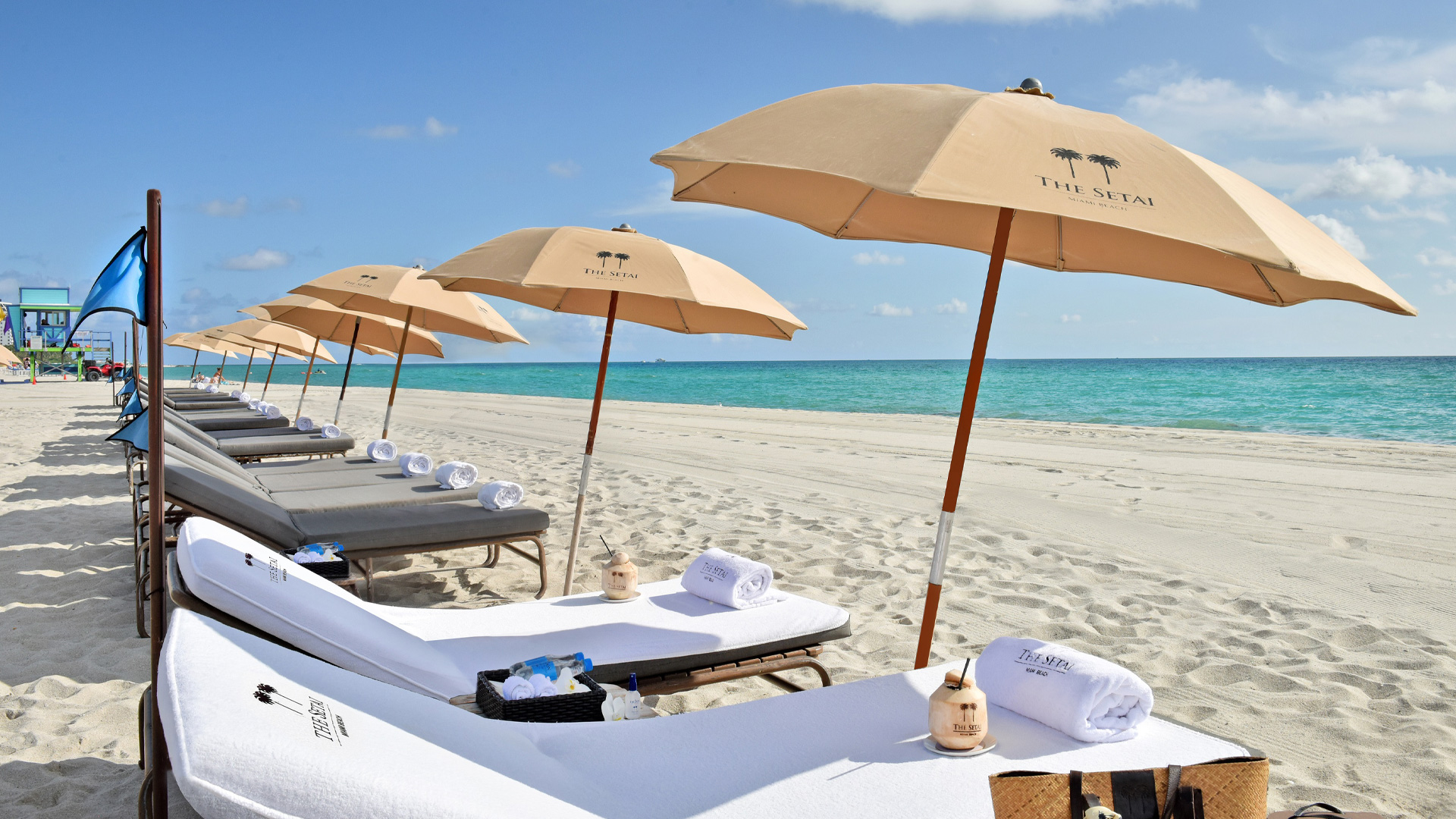 a row of loungers with yellow opened umbrellas on the beach during the day