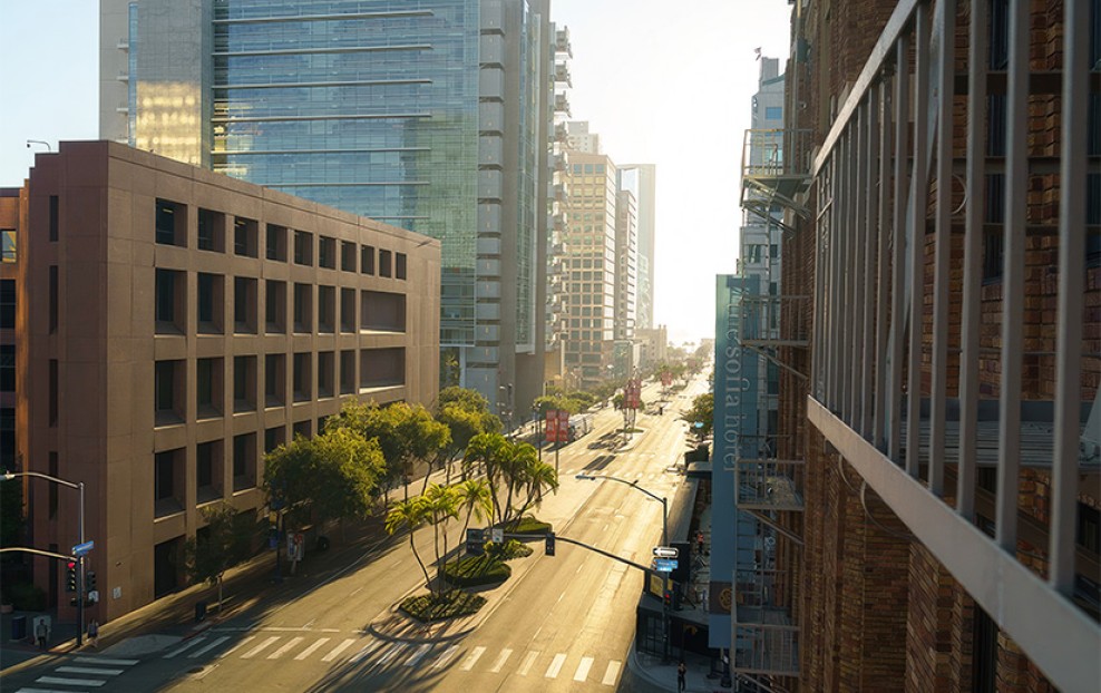 a city street with trees and buildings