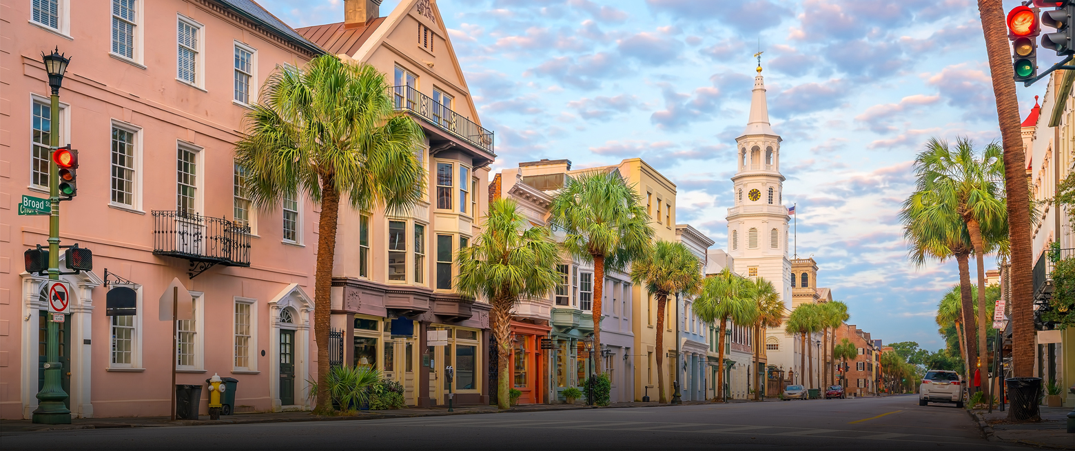 palm trees on a street